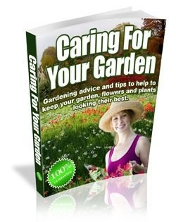 (image for) Caring For Your Garden