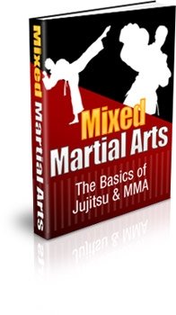 (image for) Mixed Martial Arts: The Basics of Jujitsu & MMA