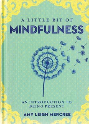 (image for) Little Bit of Mindfulness (hc) by Amy Leigh Mercree